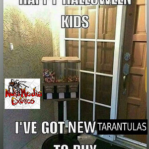 Happy Halloween! From Tarantula Keepers