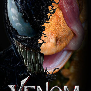 VENOM