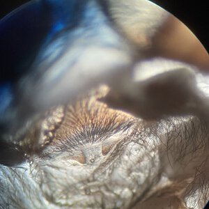 D255AD23-AA1F-469C-A3DC-4263CEA92464.jpeg