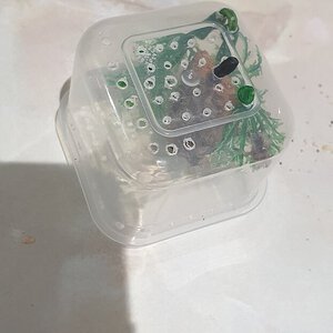 Avic sling enclosure top half