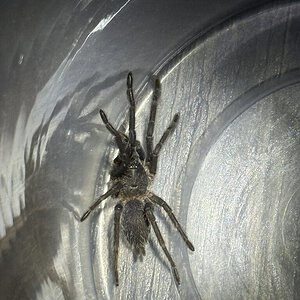 IMG_1582.jpeg