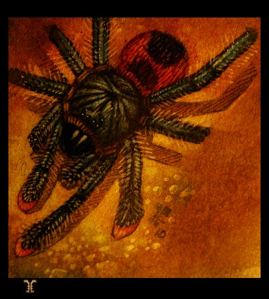 ¥ameon Tryes To Paint A Tarantula