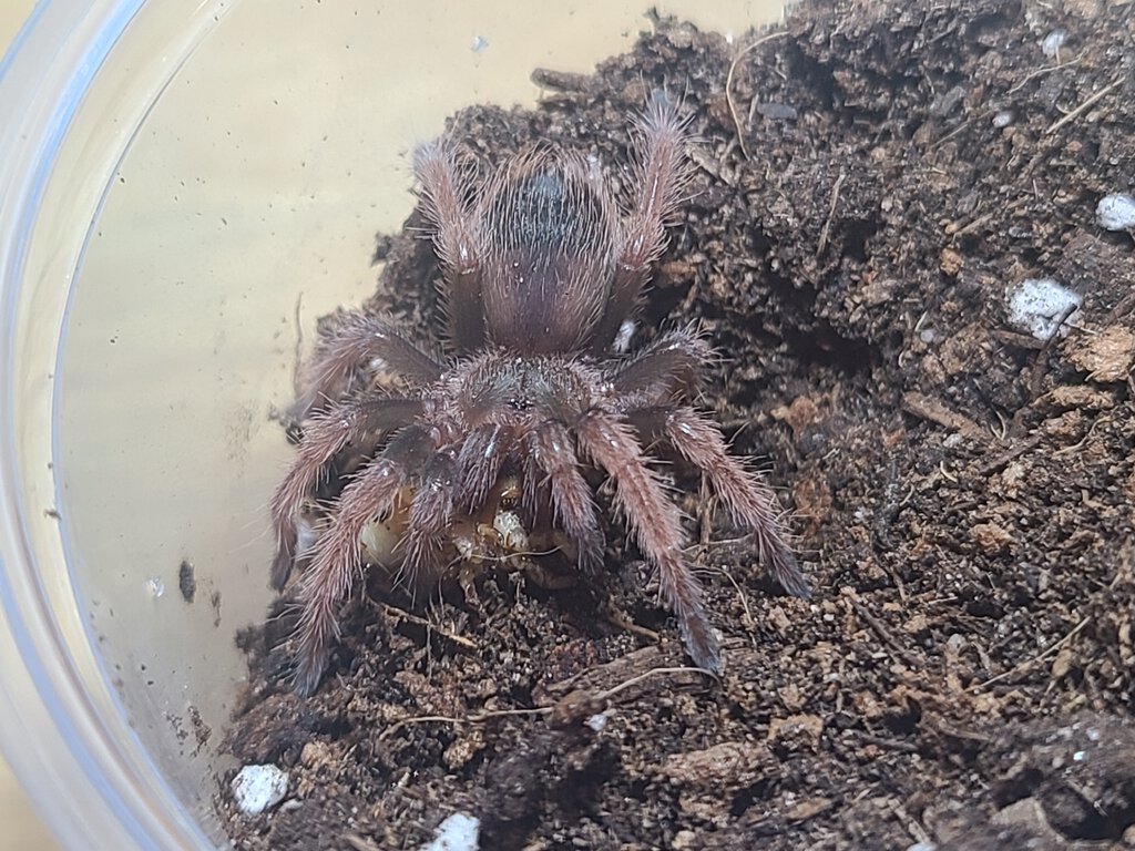 1" B. Klaasi sling having a meal