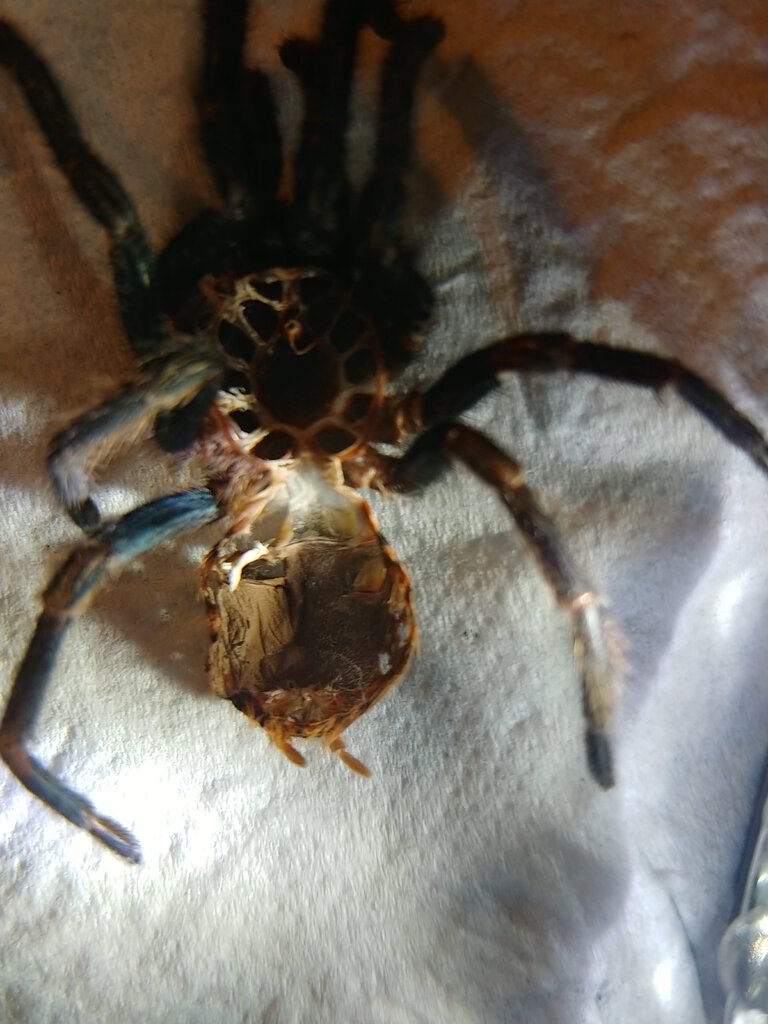 20201009_162521_HDR.jpg