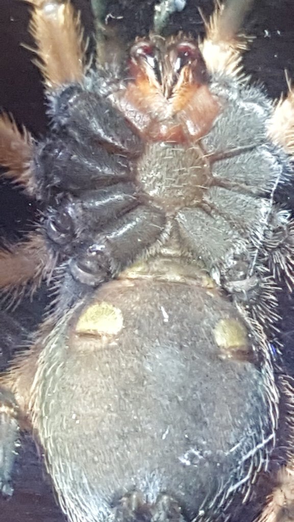20211009_141601.jpg
