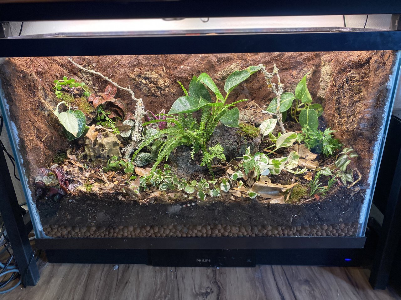 30gal Closed Ecosystem Terrarium