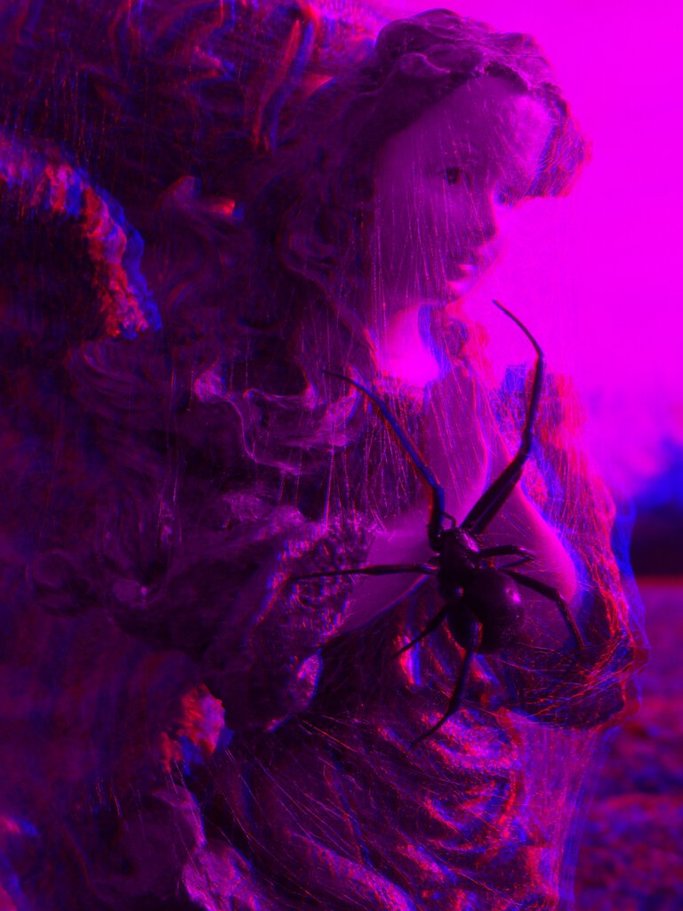 3D Violet