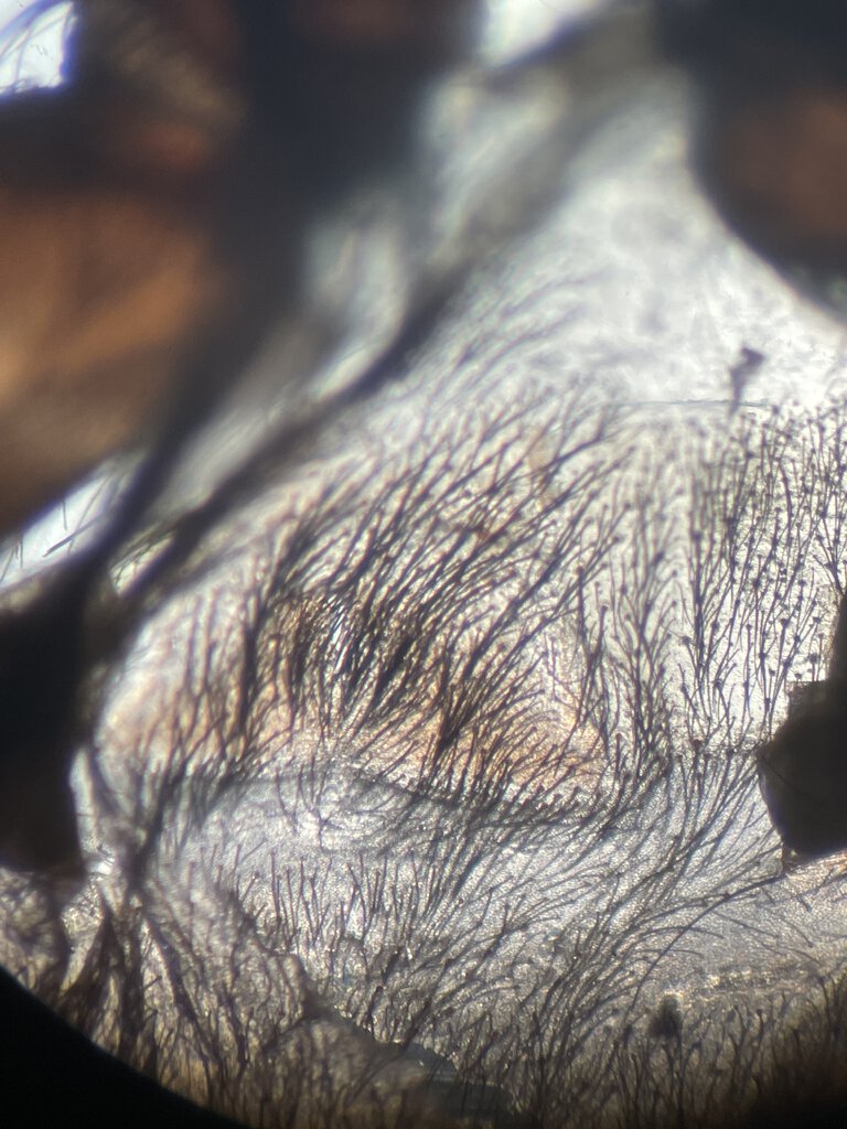 4B2FC574-72BB-48B6-AB46-0B7AB2EA7D03.jpeg