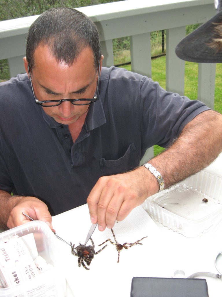 4th Annual BC Arachnoparty