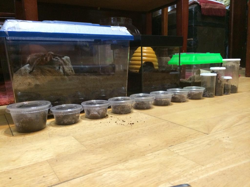 A view of my collection