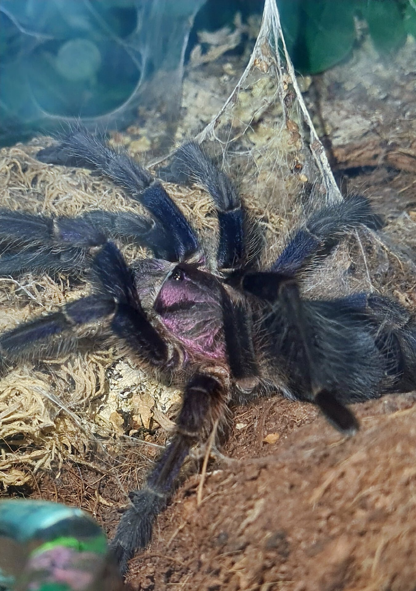 Always hungry