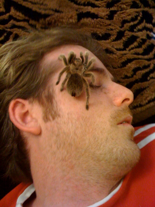 Amber crawling on my face while I take a nap