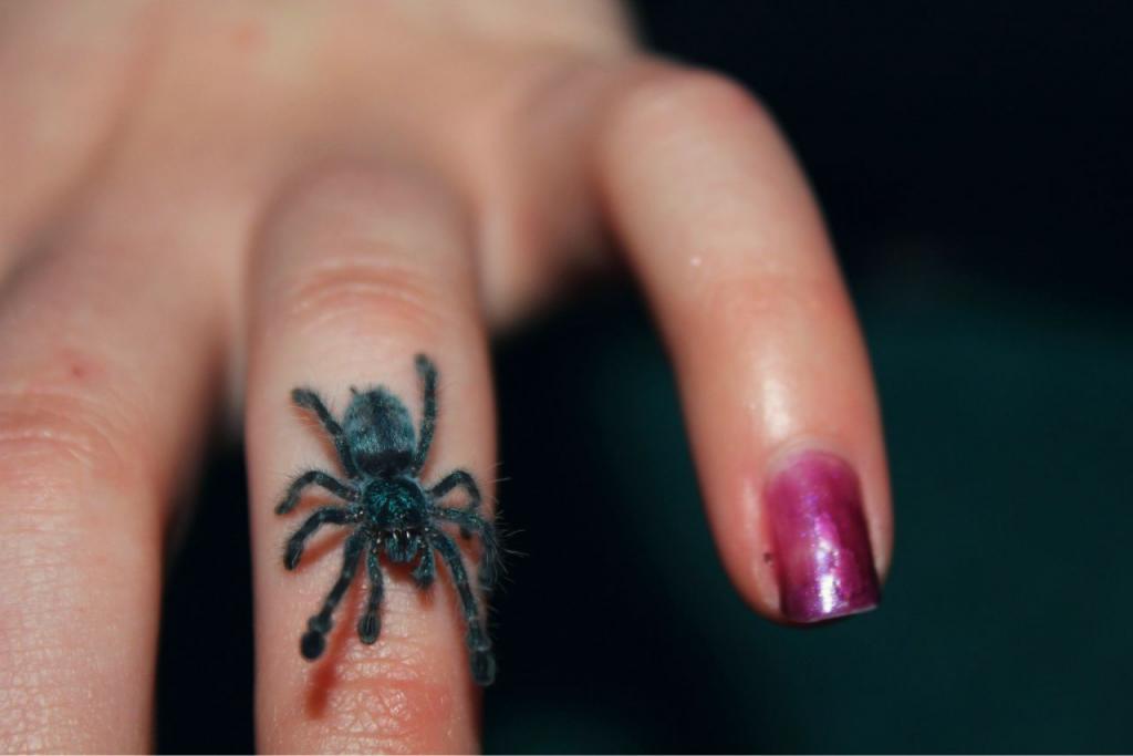 Avicularia Versicolor