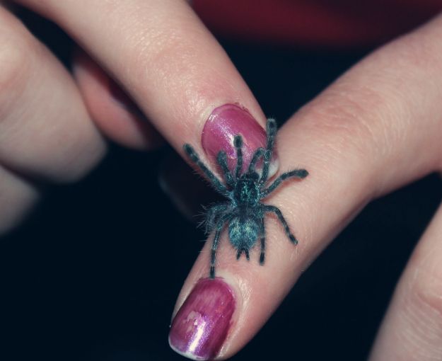 Avicularia Versicolor