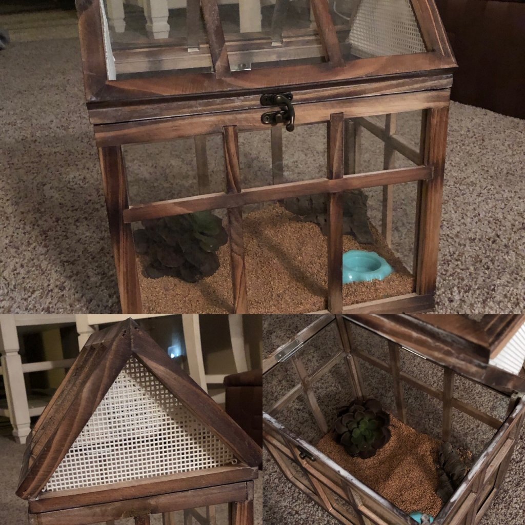 BDFB Terrarium