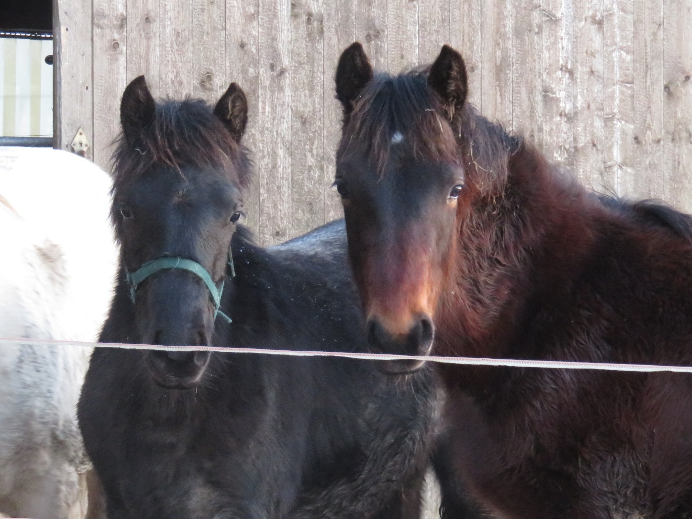 Blue and Catriona