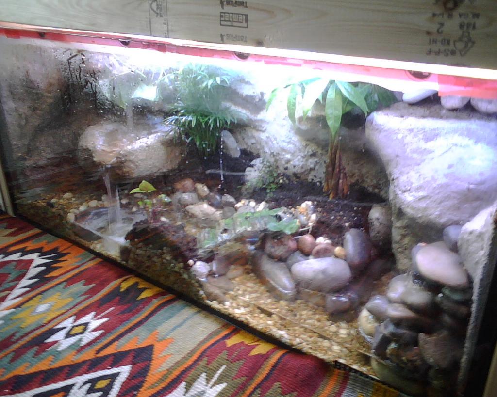 Bubbles And Vivarium