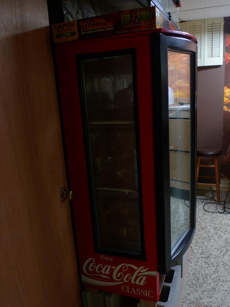 Coca-Cola terrestrial mod