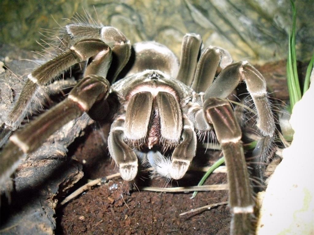 Cuddy having lunch. (T. Stirmi)