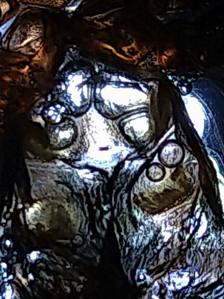 Davus Pentaloris 1inch (body) female