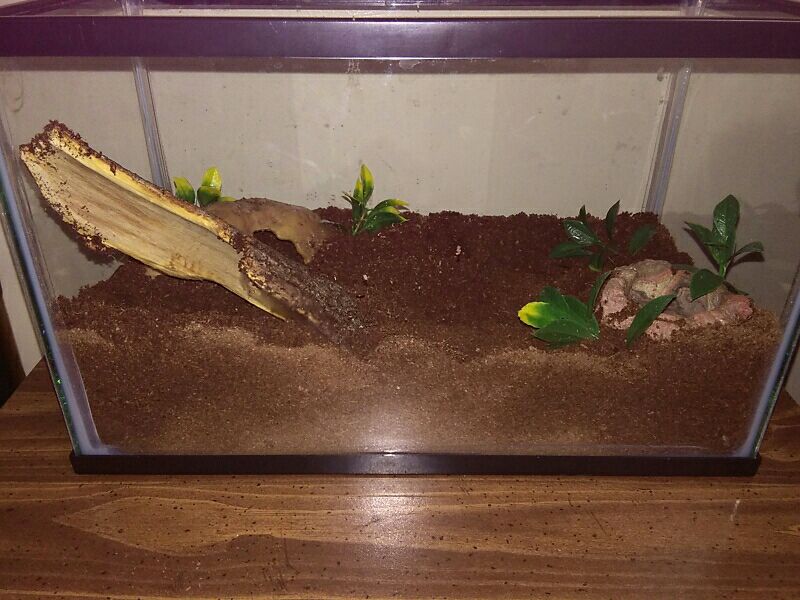 Enclosure teaser 2 :)