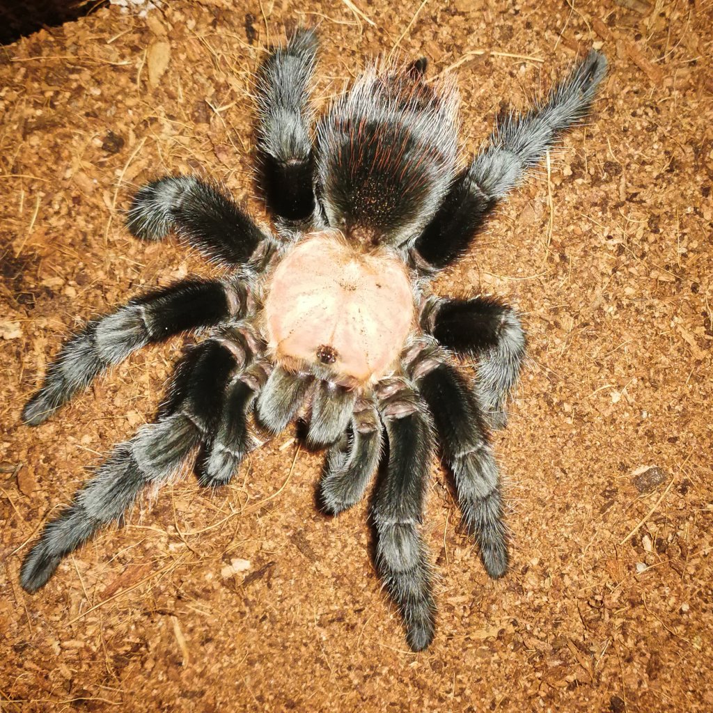 Enjoying his meal