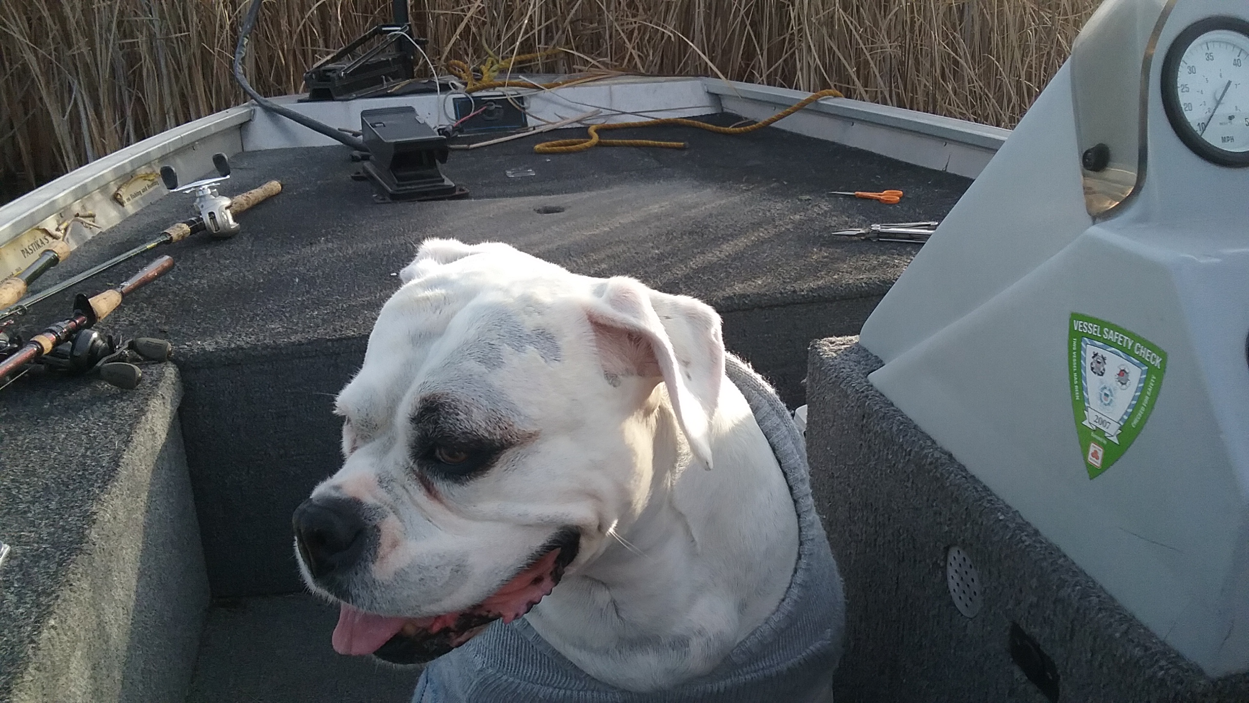 fall fishing with my little buddy