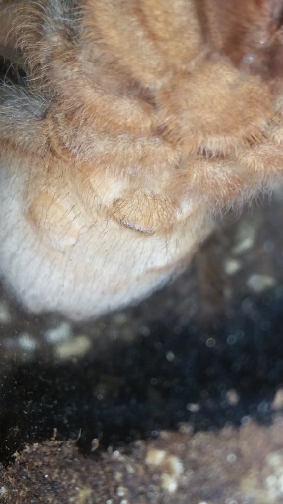 Female?