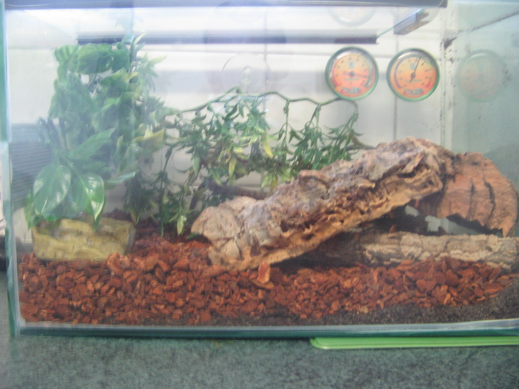 freddies new home