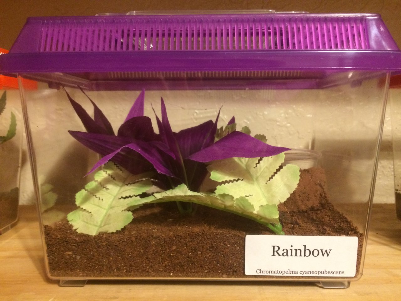 Gbb enclosure