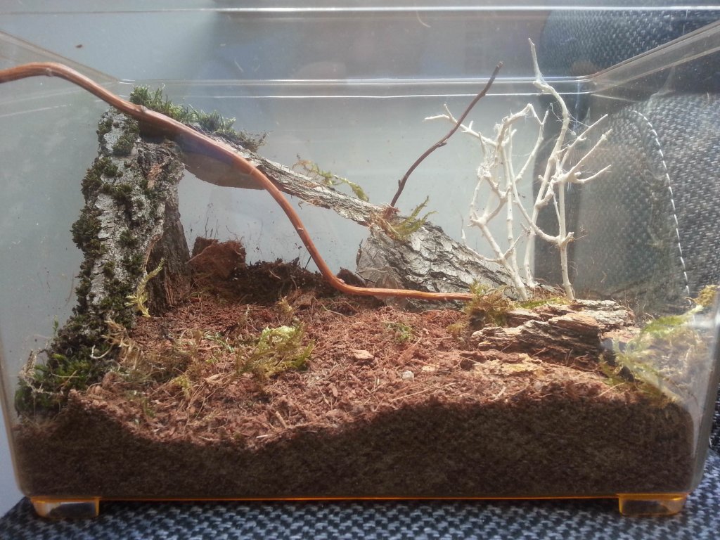 GBB setup