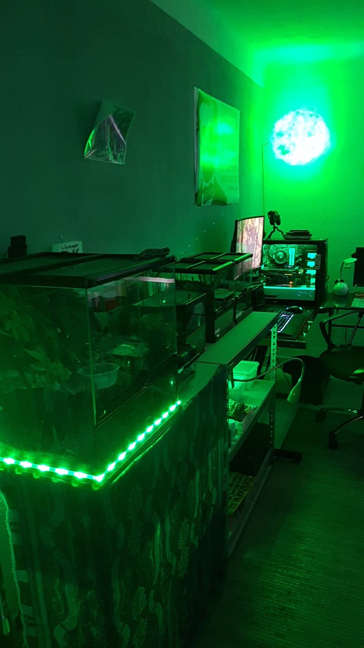 Green setup!