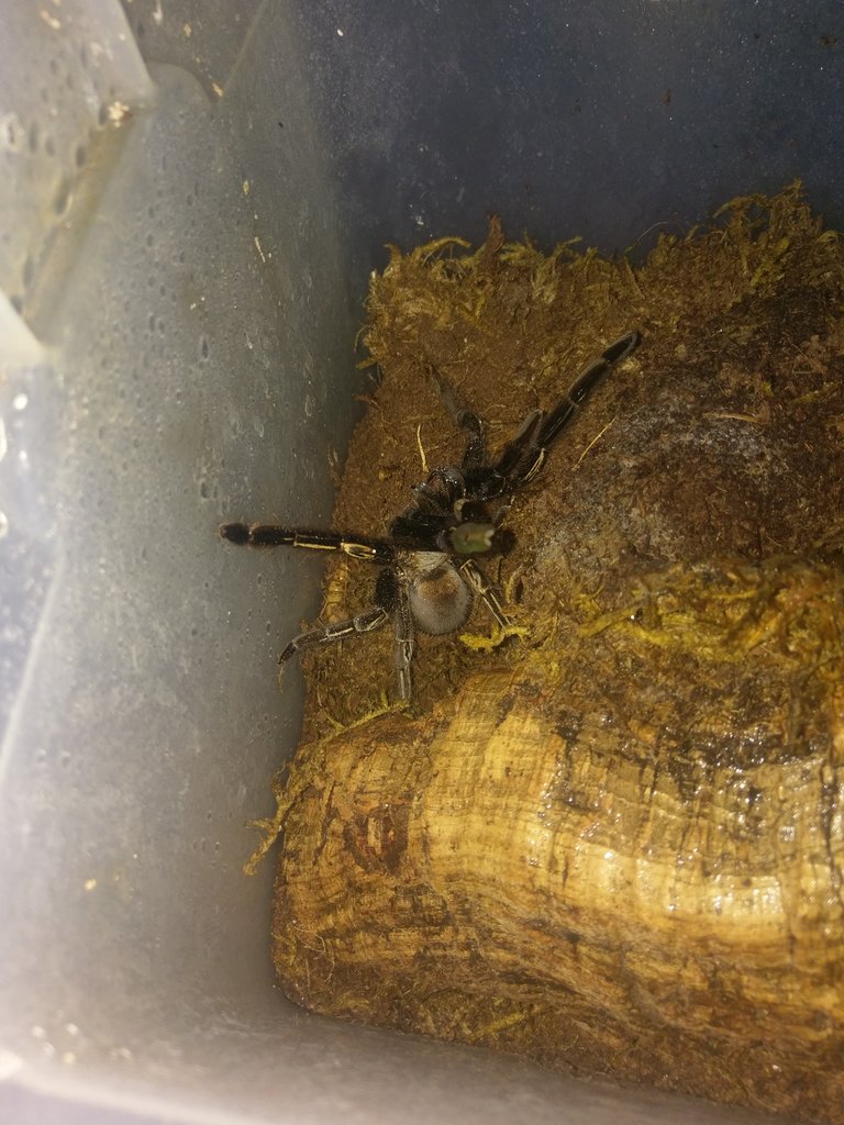 Hello there.