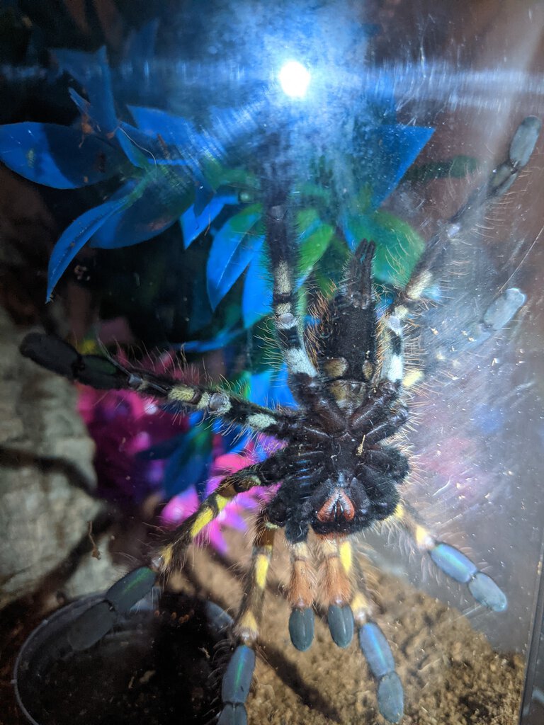 male or female?