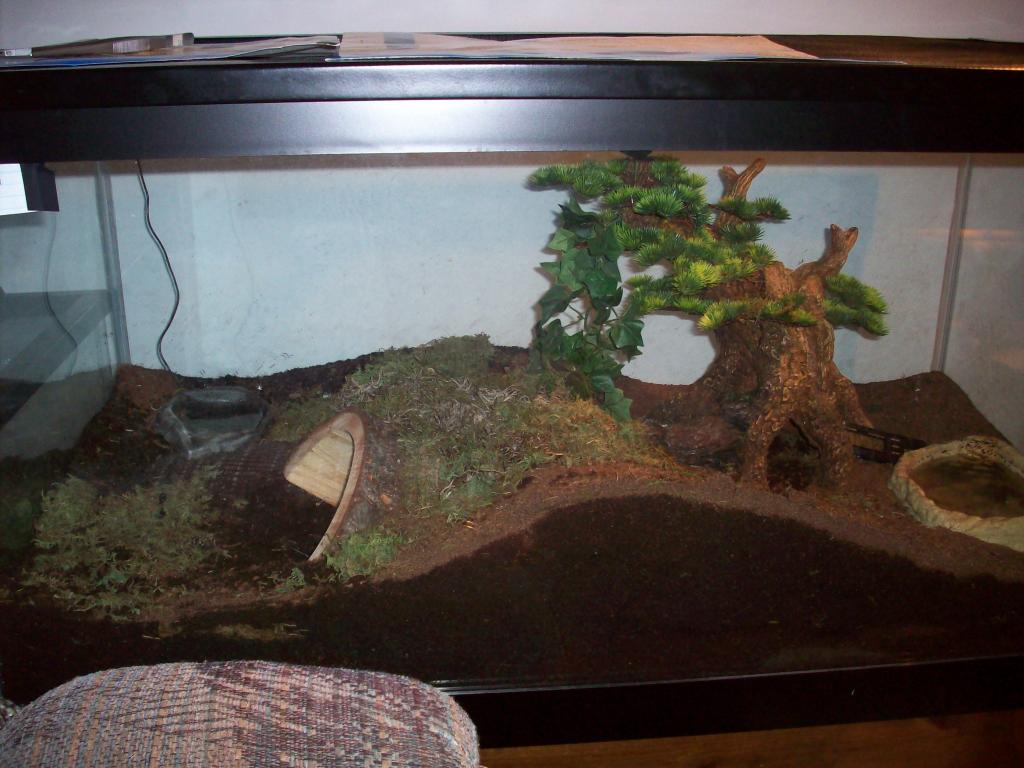 Molly's enclosure