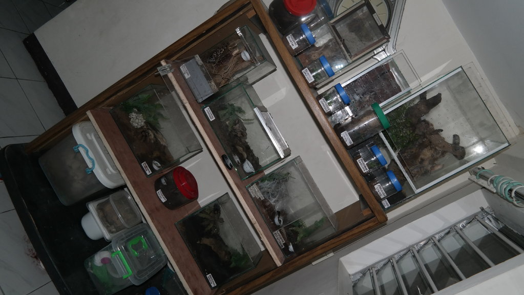 My T-rack DIY