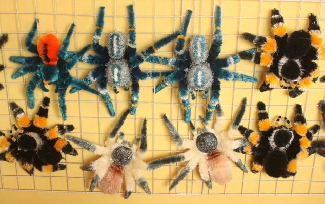 My Tarantula Toy Collection :)