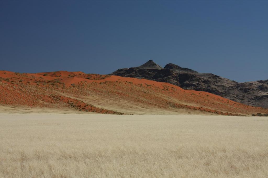 Namib Desert