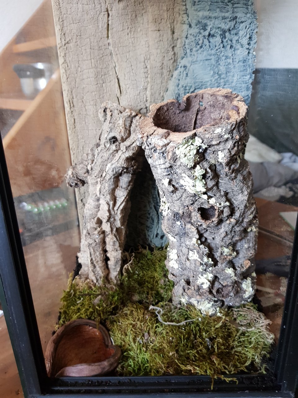 New arboreal enclosure