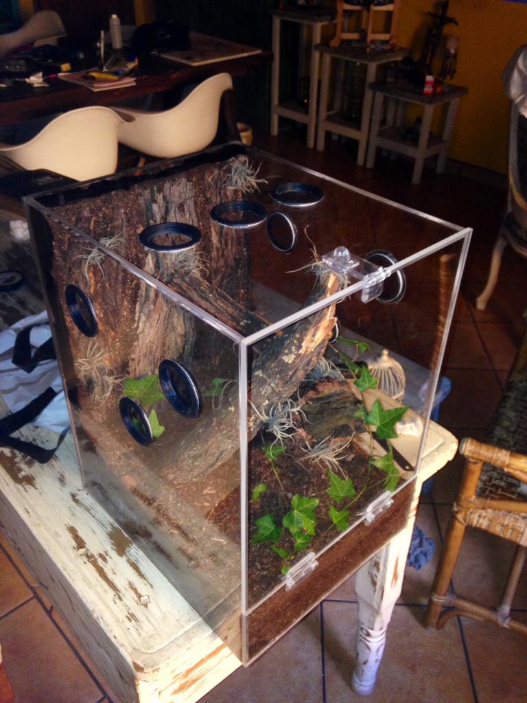 New enclosure