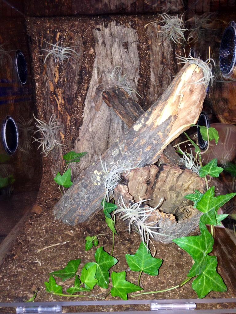 New enclosure