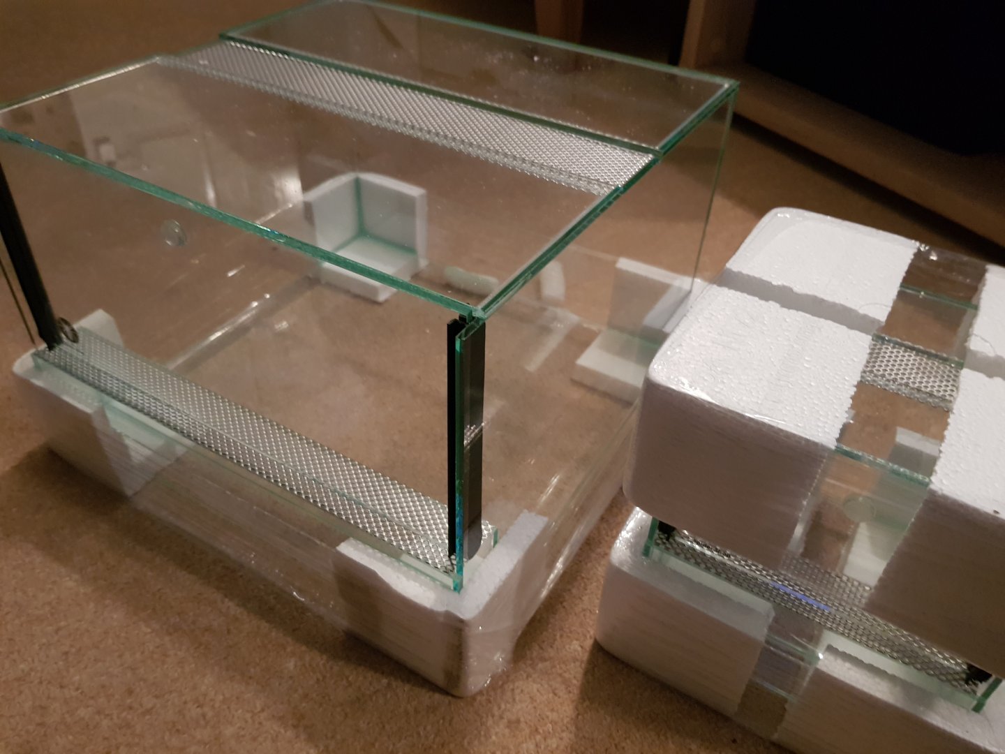 New enclosures from the spider shop UK