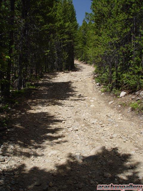 North Supply Creek & Kawuneeche Road