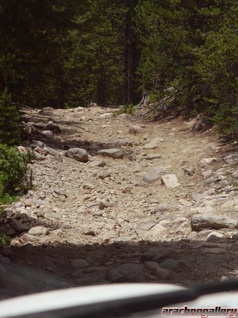 North Supply Creek & Kawuneeche Road