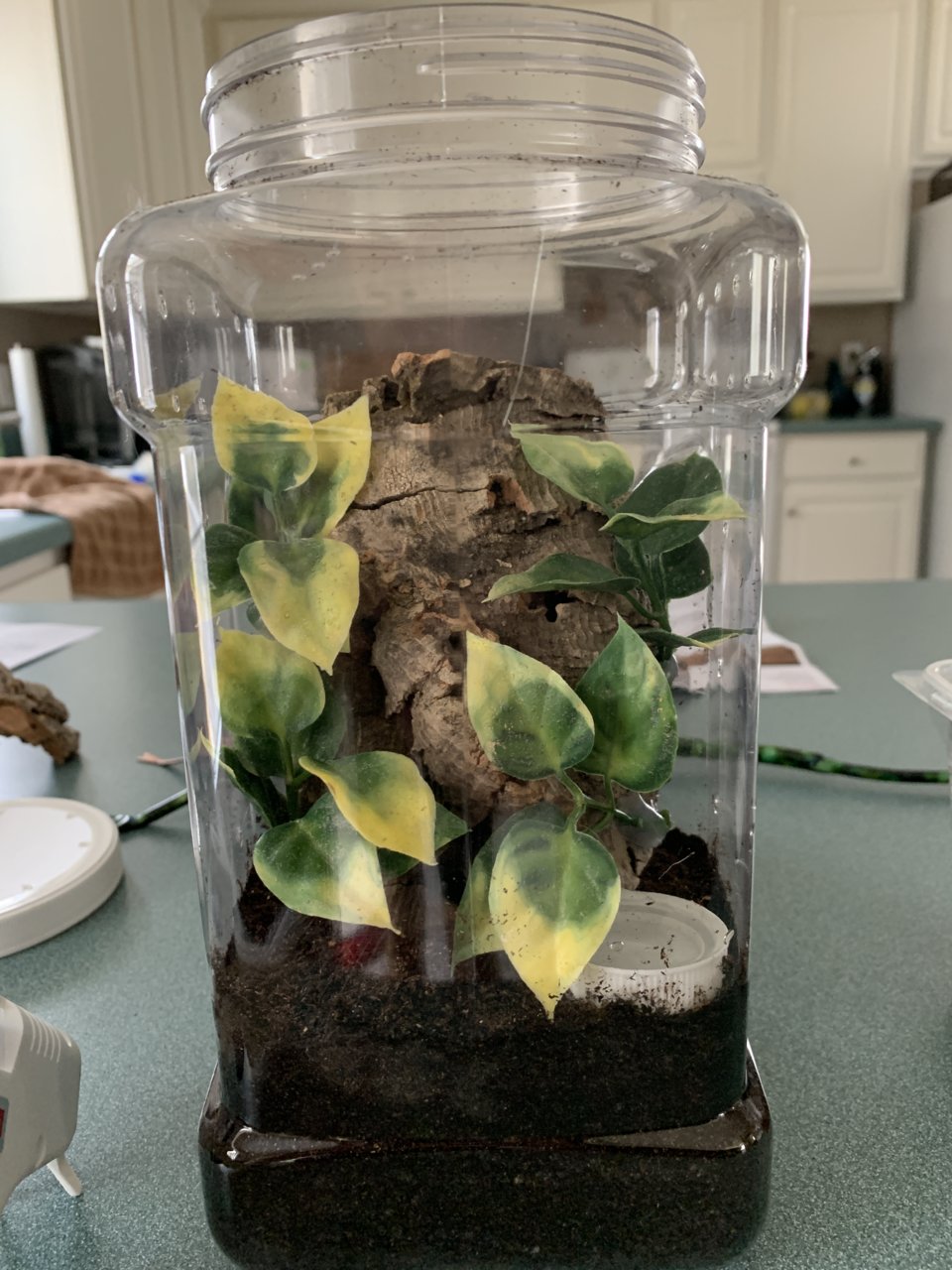 P. Irminia Juvie Enclosure