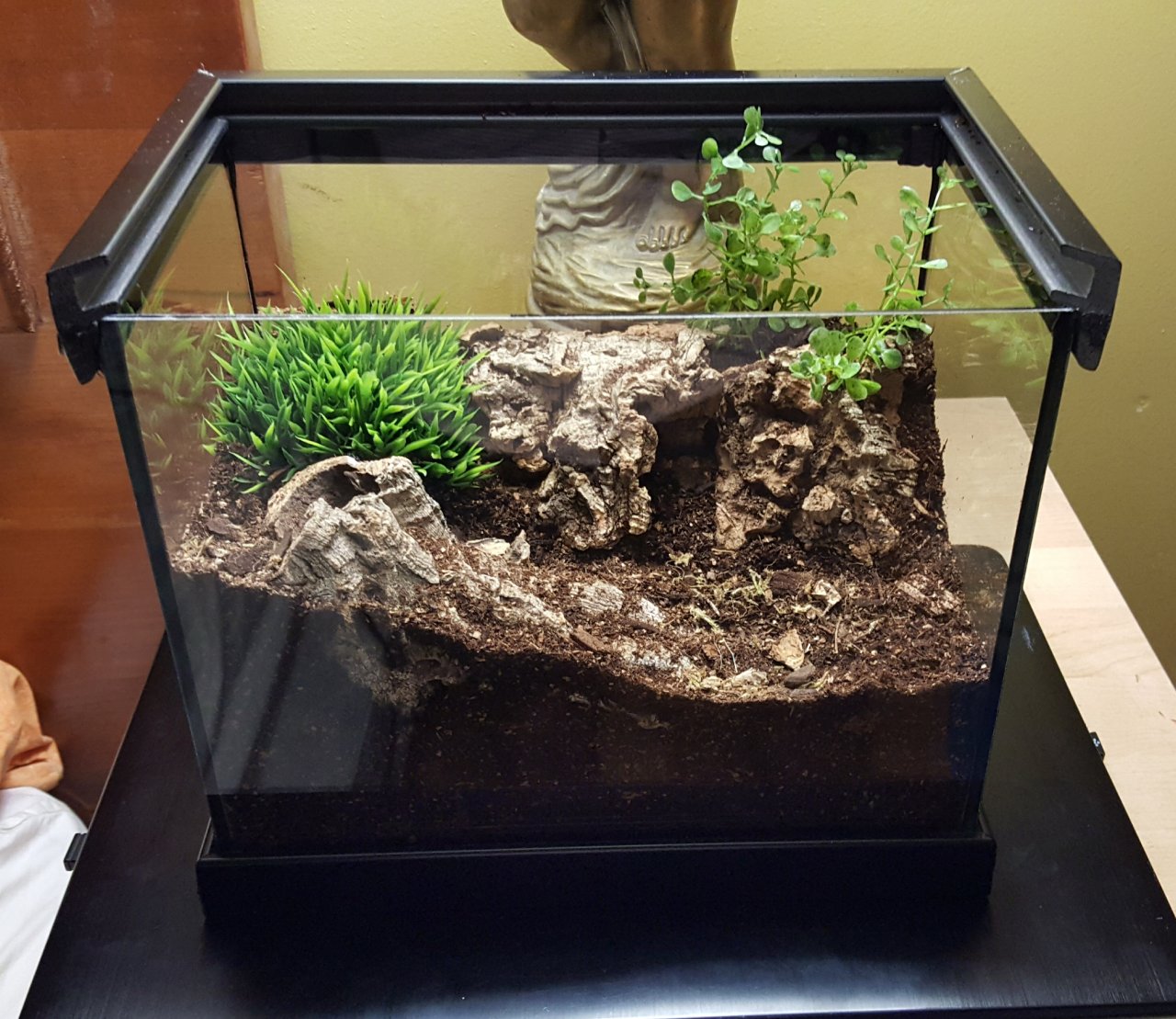 Tarantula Enclosure Decor 