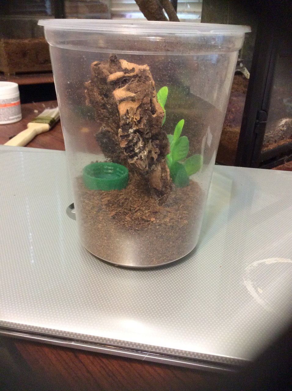Pokie sling enclosure?