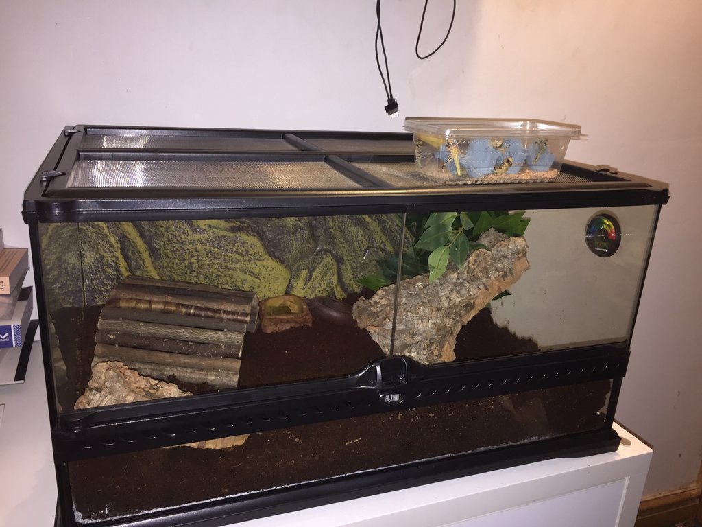 Set up attempt 1