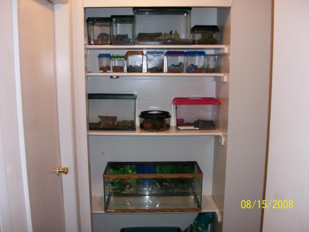 Some of my enclosures