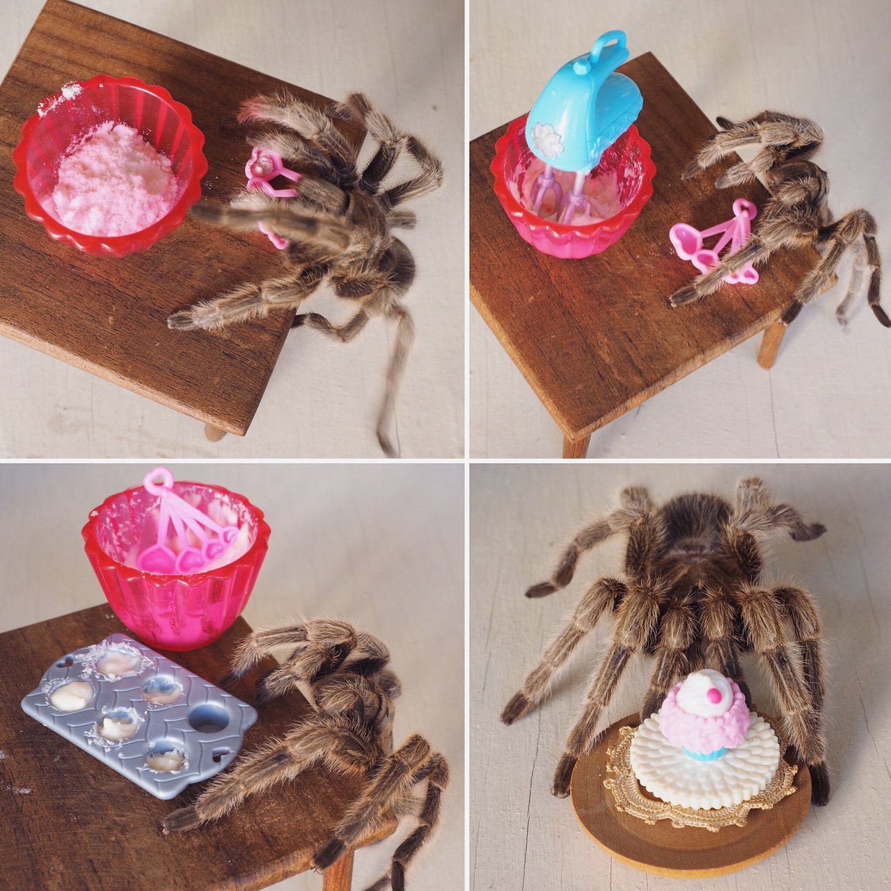 Spider bakes a cake